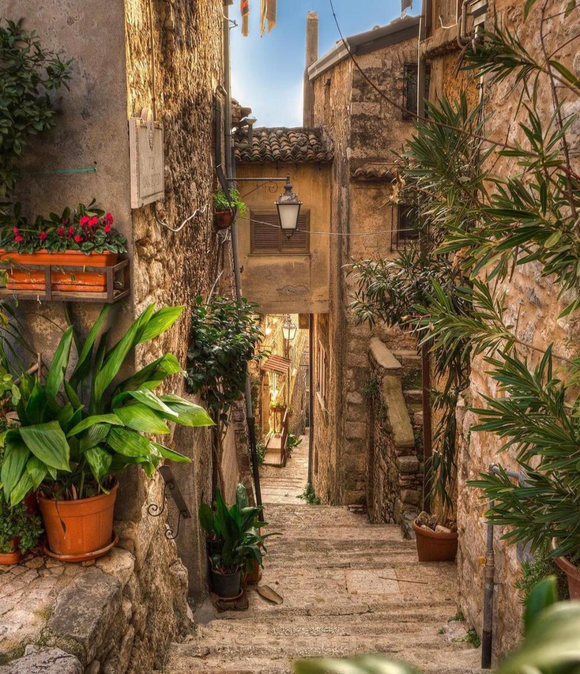 Castro dei Volsci Residenza Il Panorama Della Ciociaria B&B 외부 사진